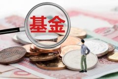 哪种投资基金收益最高?如何选择投资基金类型