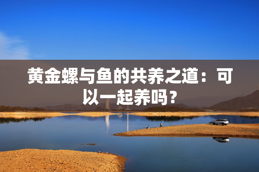 黄金螺与鱼的共养之道：可以一起养吗？